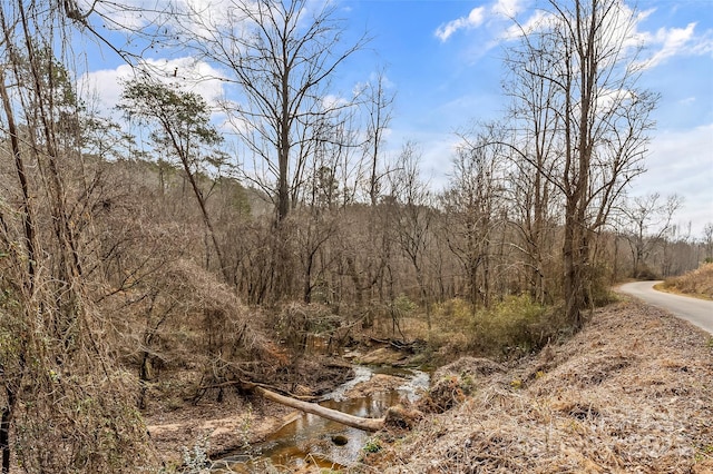 173 Deer Creek Trl, Statesville, NC 28677 - photo 27