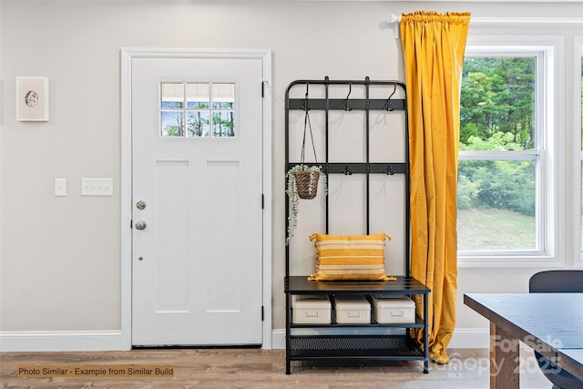 entrance foyer with wood finished floors, baseboards, and a wealth of natural light