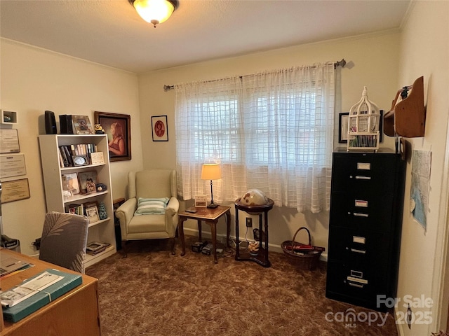 view of carpeted office