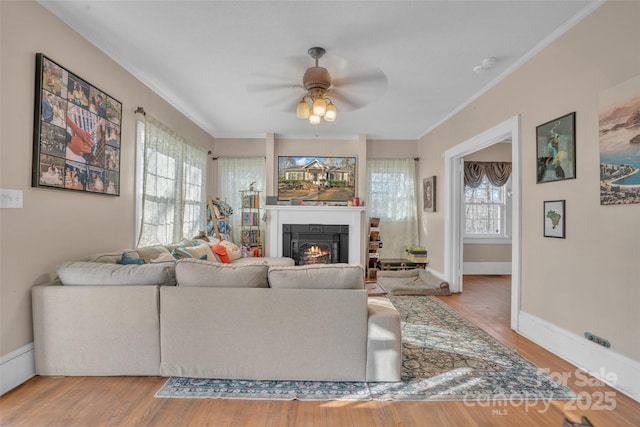 living room featuring crown molding, ceiling fan, and light hardwood / wood-style flooring