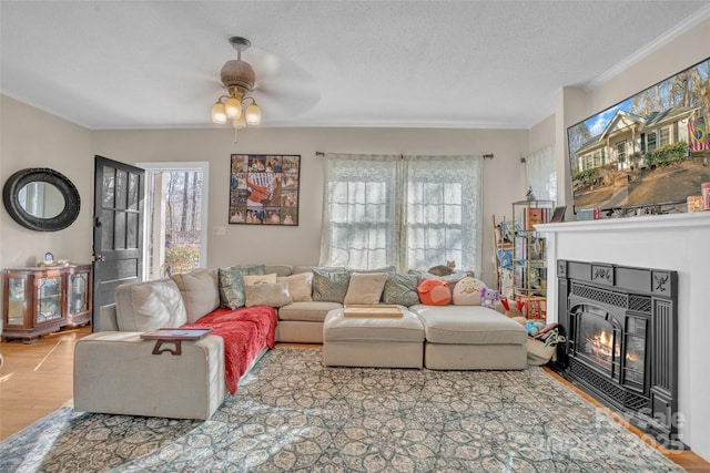 living room with ornamental molding, plenty of natural light, a textured ceiling, and light hardwood / wood-style floors