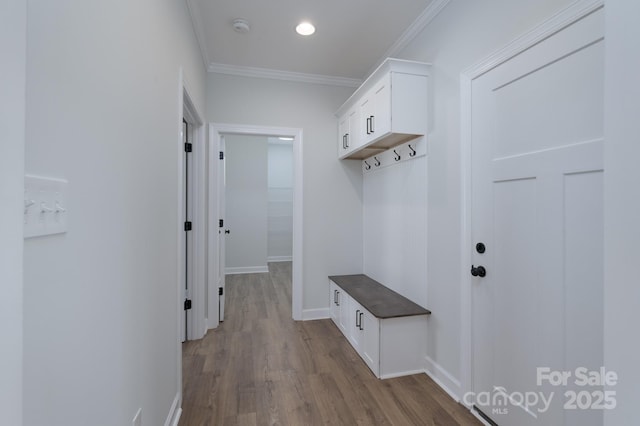 mudroom featuring crown molding and light wood-type flooring