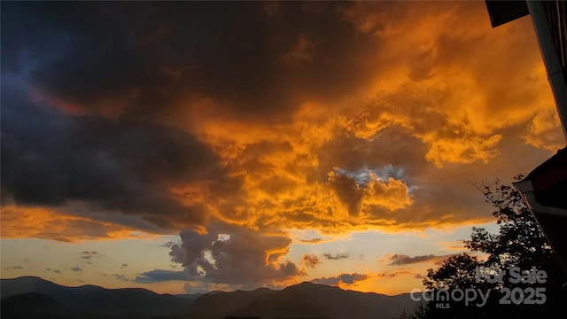 nature at dusk with a mountain view