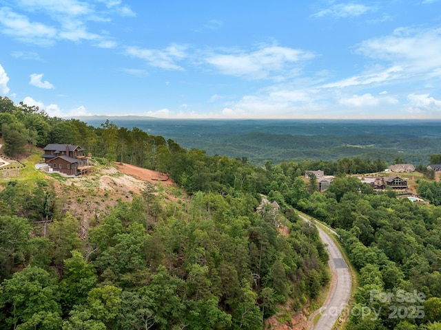 246 Half Moon Mile, Lake Lure, NC 28746 - drone / aerial view of a heavily wooded area