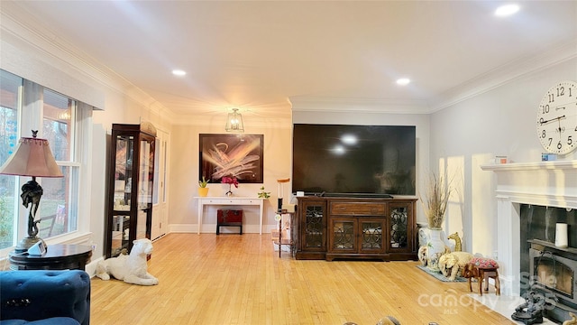 living room featuring ornamental molding and hardwood / wood-style floors