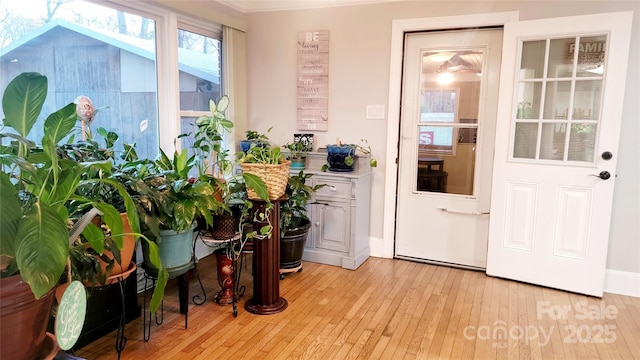 doorway to outside featuring light hardwood / wood-style floors