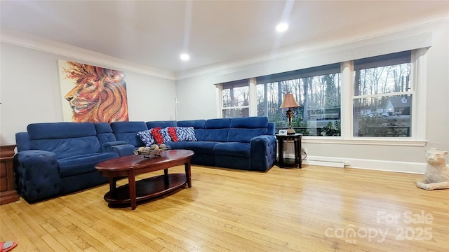 living room with crown molding and light wood-type flooring