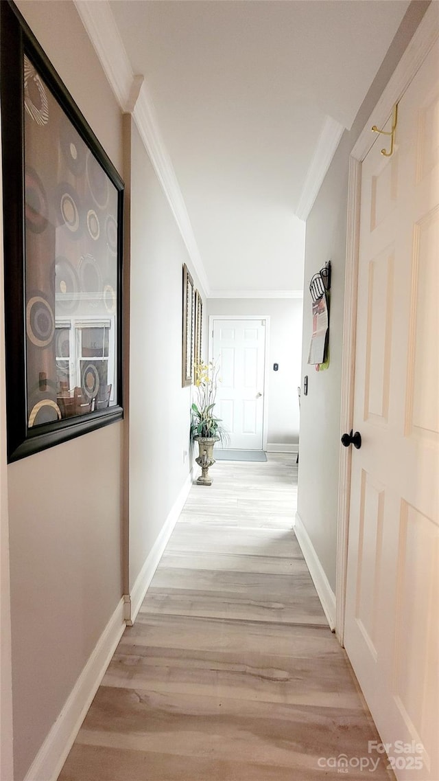 corridor featuring crown molding and light hardwood / wood-style flooring