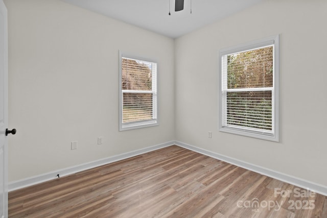 spare room featuring wood-type flooring and ceiling fan