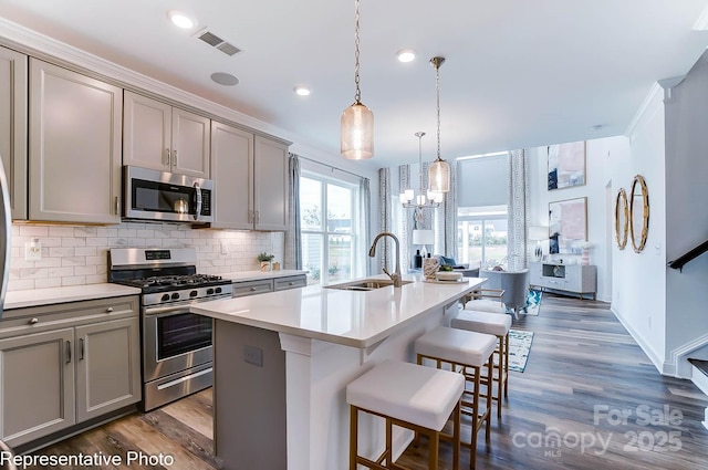 kitchen with a kitchen island with sink, sink, gray cabinets, and stainless steel appliances