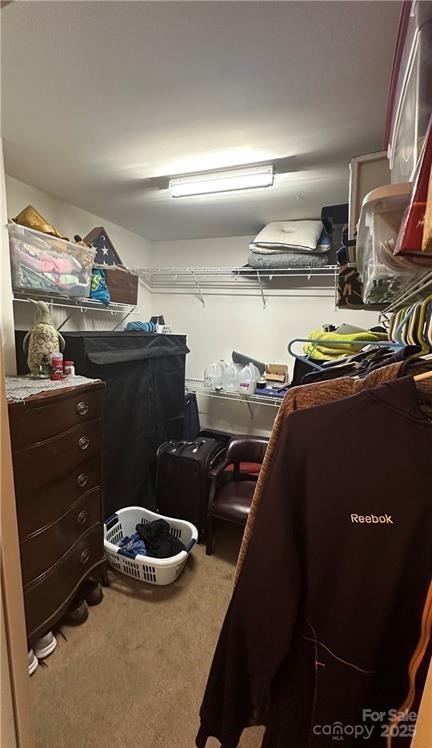 spacious closet with carpet floors