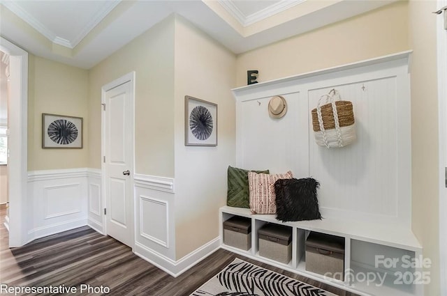 mudroom featuring dark hardwood / wood-style flooring and crown molding