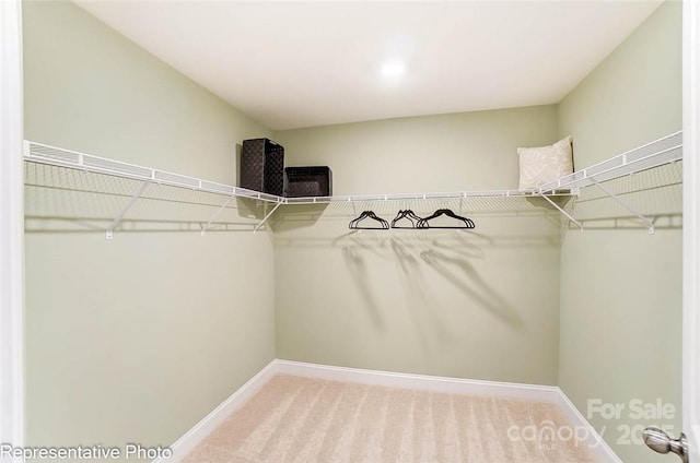 walk in closet with carpet flooring