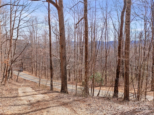 Listing photo 2 for 321 Shuford Creek Rd, Burnsville NC 28714