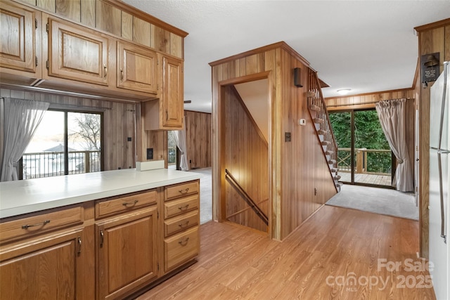 kitchen with a healthy amount of sunlight, wooden walls, and light hardwood / wood-style floors