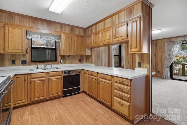 kitchen with sink, wood walls, range, a textured ceiling, and black dishwasher