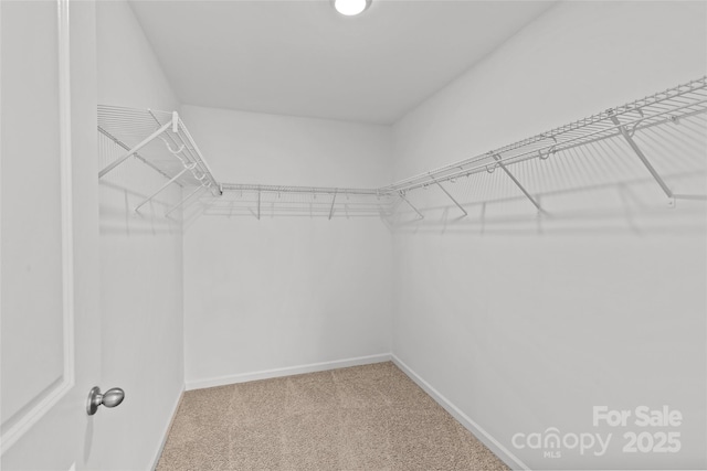 2461 Palmdale Walk Dr, Fort Mill, SC 29708 - photo 42