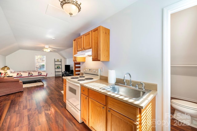 kitchen with vaulted ceiling, white electric stove, sink, ceiling fan, and dark wood-type flooring