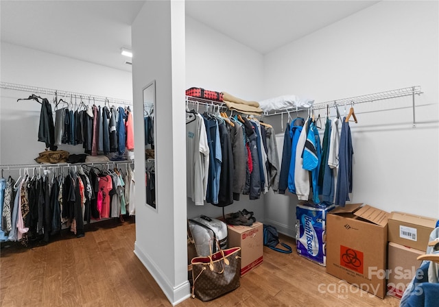 walk in closet with wood-type flooring