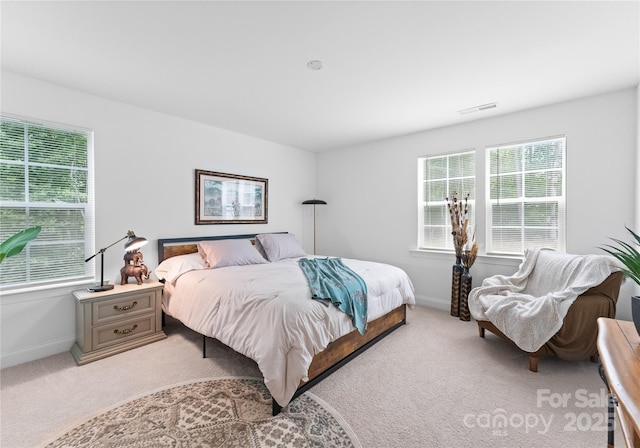 bedroom featuring multiple windows and light colored carpet