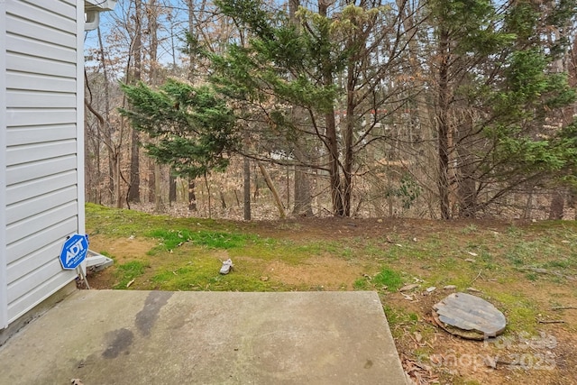 view of yard featuring a patio