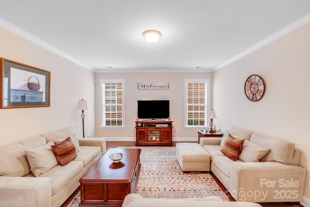 living room featuring ornamental molding