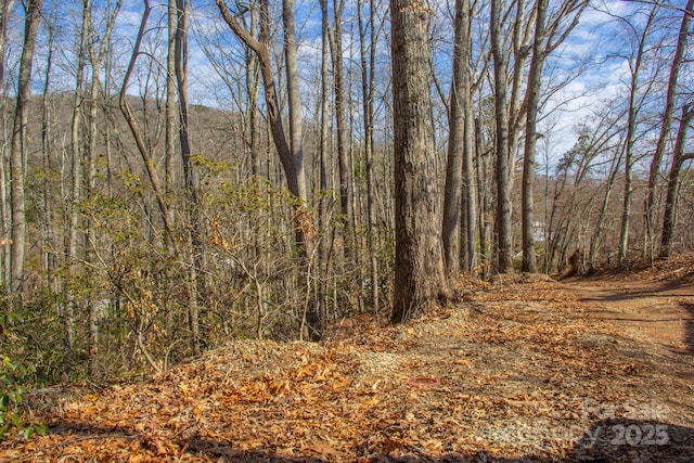 00 Meandering Trl, Asheville NC, 28806 land for sale