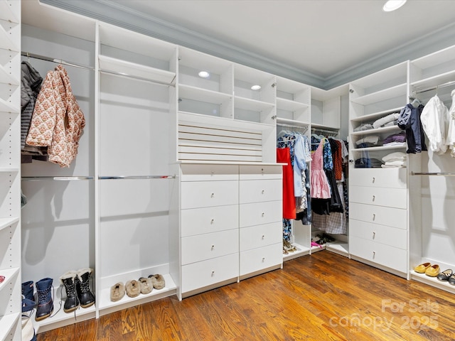 spacious closet with wood finished floors
