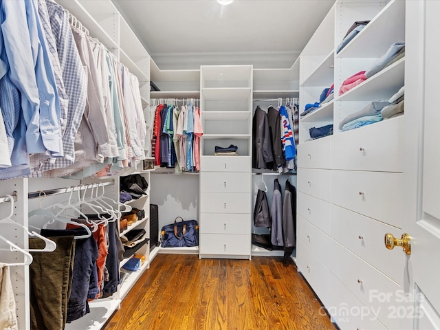 spacious closet with wood finished floors