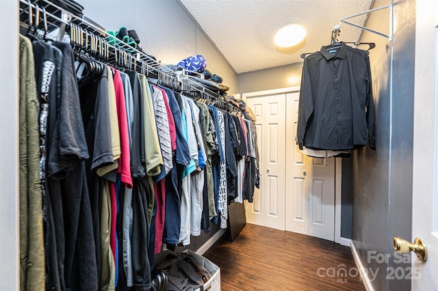 walk in closet with dark hardwood / wood-style flooring