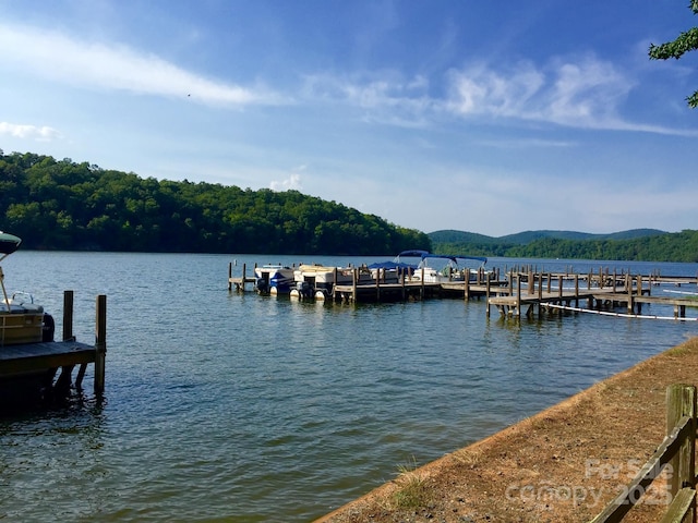 dock area featuring a water view