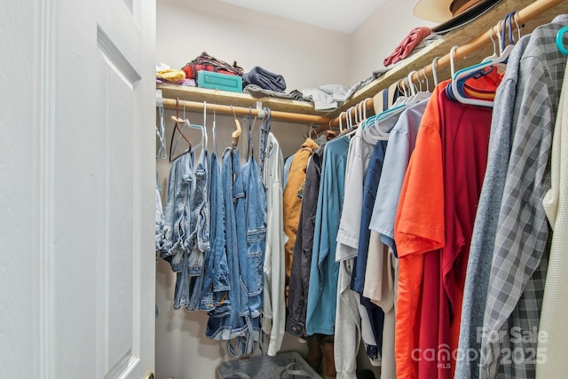 view of walk in closet