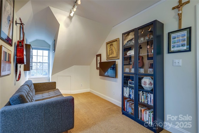 living area featuring vaulted ceiling, rail lighting, and carpet