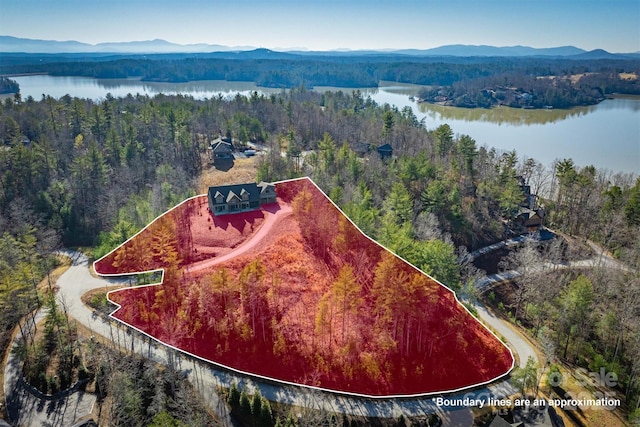 drone / aerial view with a water and mountain view