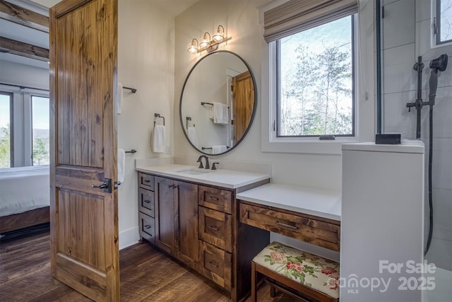 bathroom featuring hardwood / wood-style flooring and vanity