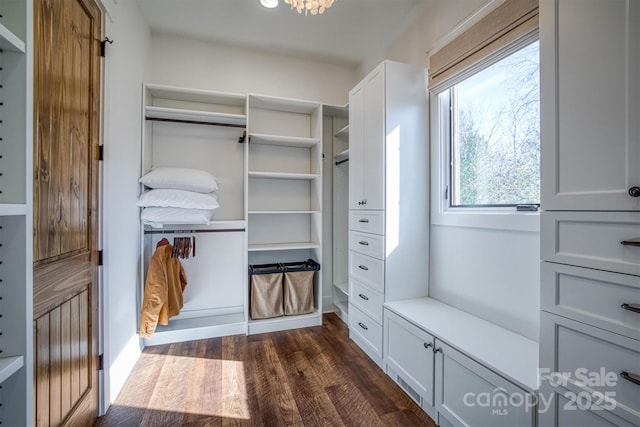 walk in closet featuring dark wood-type flooring