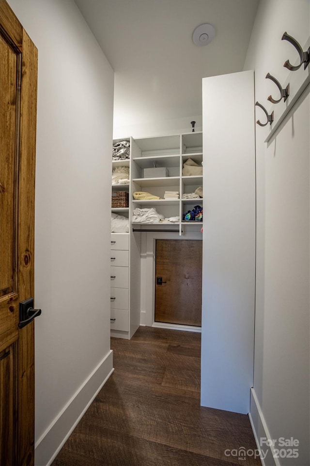 walk in closet featuring dark hardwood / wood-style flooring