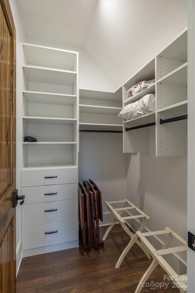 walk in closet with dark wood-type flooring