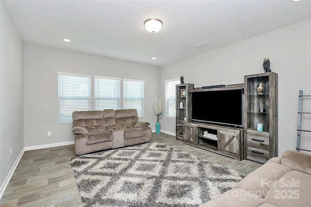 living room featuring wood-type flooring