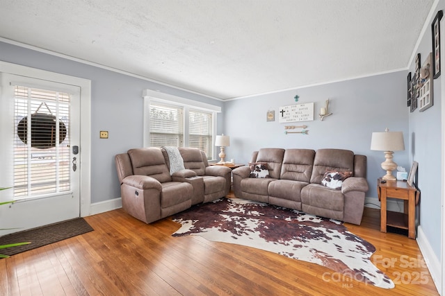 living room with ornamental molding, a textured ceiling, and light wood-type flooring