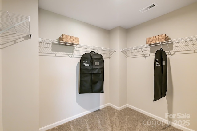 spacious closet with carpet