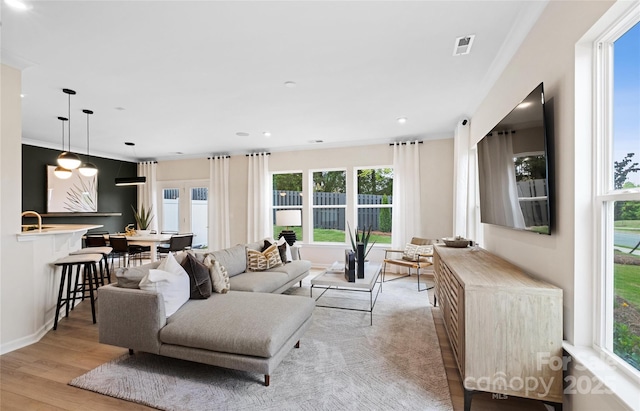 living room featuring sink and light hardwood / wood-style floors