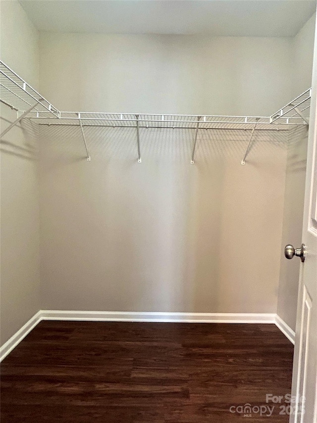 walk in closet featuring dark wood-type flooring