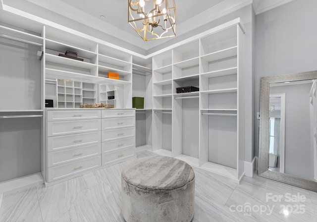 19329 Watermark Dr Unit 551/552, Cornelius, NC 28031 - spacious closet with an inviting chandelier