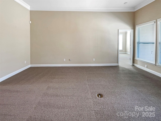 unfurnished room with ornamental molding and carpet flooring