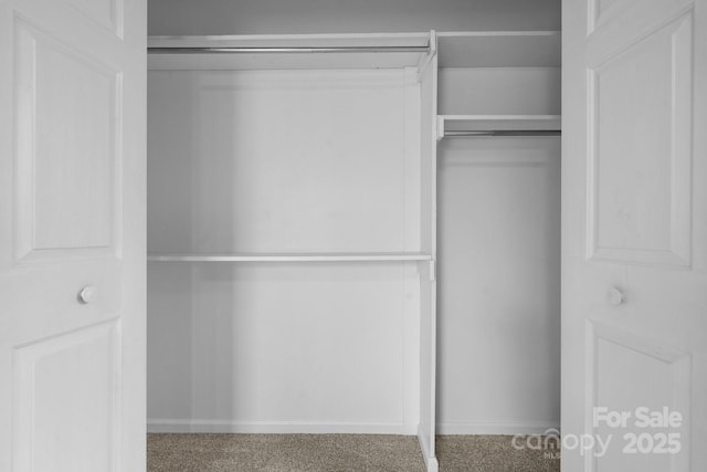 view of closet