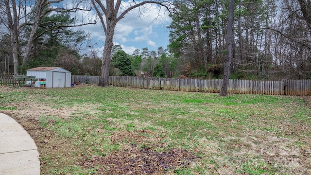 view of yard with a shed