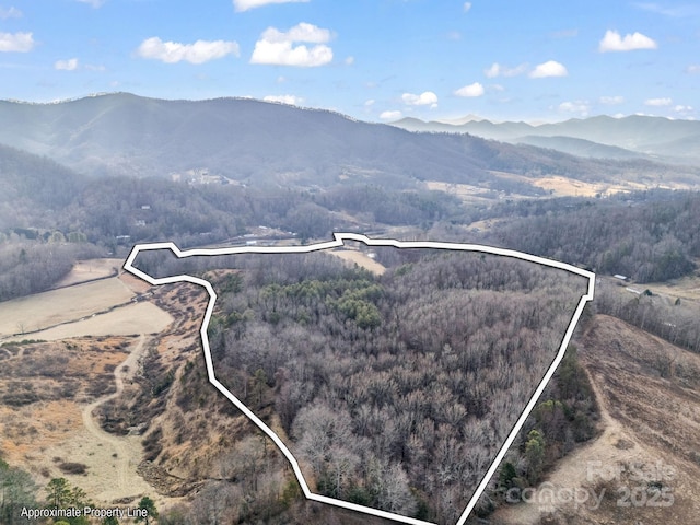 aerial view featuring a mountain view