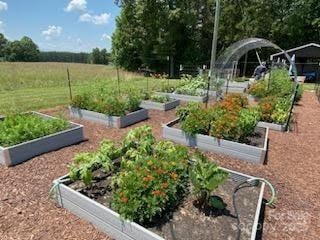 660 Scoggins Rd, Rutherfordton, NC 28139 - view of yard with a vegetable garden