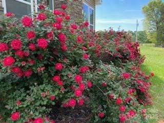 660 Scoggins Rd, Rutherfordton, NC 28139 - view of yard
